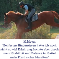 H. Meyer_1