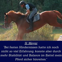 H. Meyer